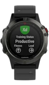 Garmin Fenix 5 Slate Gray image